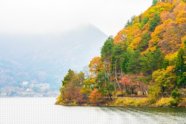 快连VPN下载安装后卡顿?2024年专业优化秘笈+故障解决方案揭秘 一